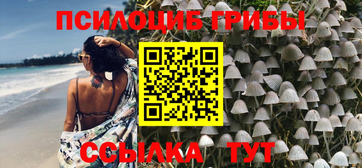 Галлюциногенные грибы Psilocybine cubensis Унеча