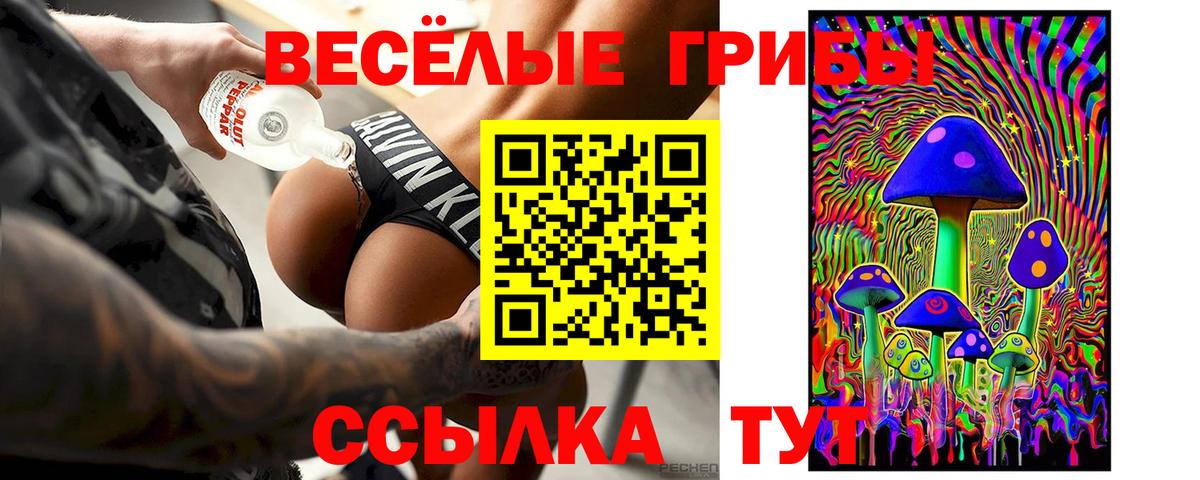 Галлюциногенные грибы Magic Shrooms  Вход с VPN  Унеча 